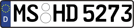 MS-HD5273