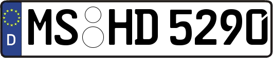 MS-HD5290
