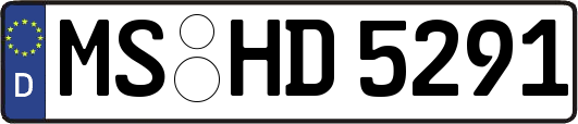MS-HD5291