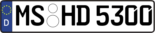 MS-HD5300