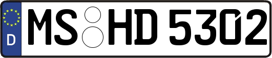 MS-HD5302