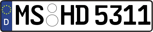MS-HD5311