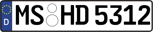 MS-HD5312