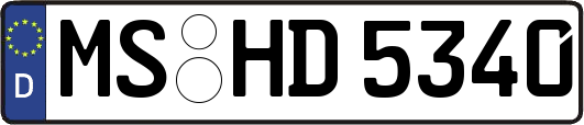 MS-HD5340