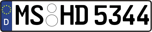 MS-HD5344