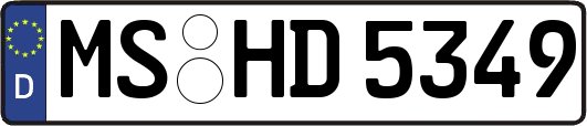 MS-HD5349