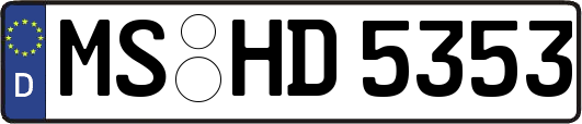 MS-HD5353