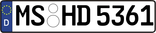 MS-HD5361