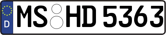 MS-HD5363