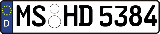 MS-HD5384