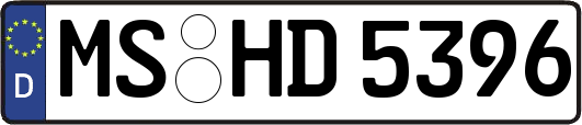 MS-HD5396