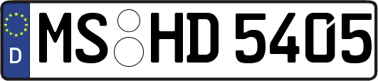 MS-HD5405