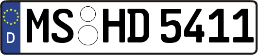 MS-HD5411