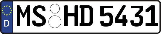 MS-HD5431