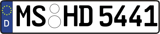 MS-HD5441