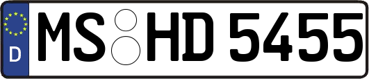 MS-HD5455