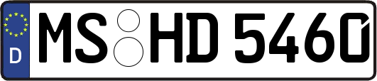 MS-HD5460