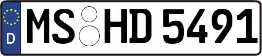 MS-HD5491