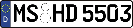 MS-HD5503