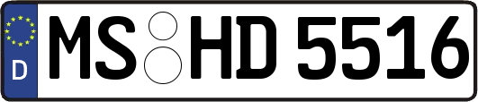 MS-HD5516