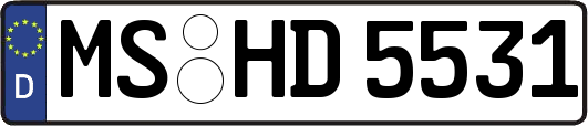 MS-HD5531