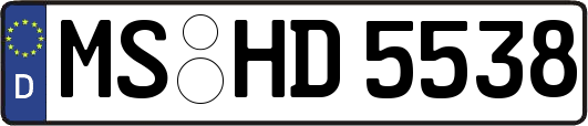 MS-HD5538