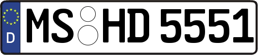 MS-HD5551