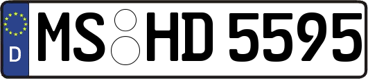 MS-HD5595