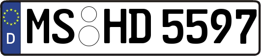 MS-HD5597