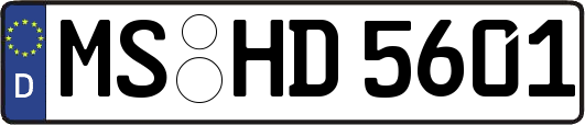 MS-HD5601