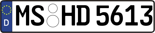 MS-HD5613
