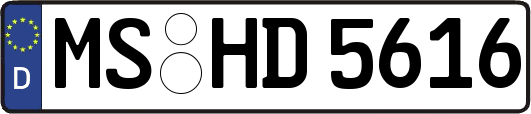 MS-HD5616