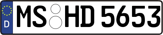 MS-HD5653