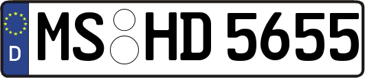 MS-HD5655
