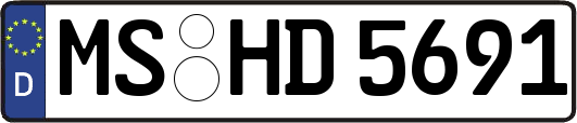 MS-HD5691