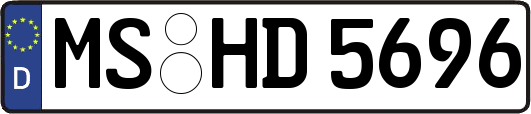 MS-HD5696