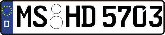 MS-HD5703