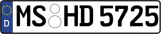 MS-HD5725