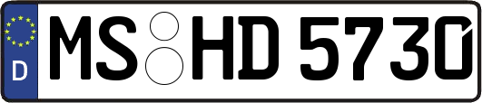 MS-HD5730