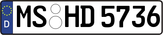 MS-HD5736