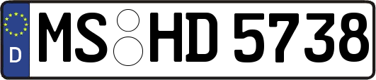 MS-HD5738