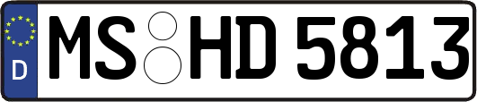 MS-HD5813