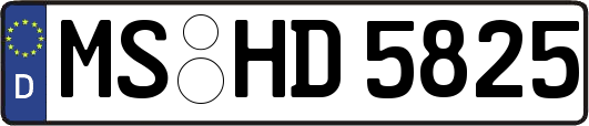 MS-HD5825