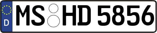 MS-HD5856