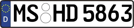 MS-HD5863