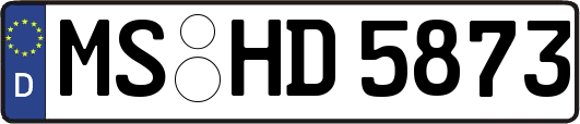 MS-HD5873