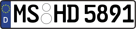 MS-HD5891