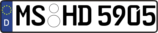 MS-HD5905