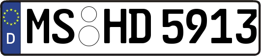 MS-HD5913
