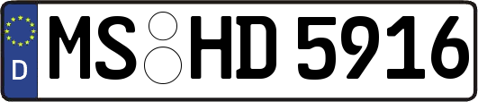 MS-HD5916